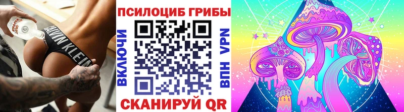 Галлюциногенные грибы Cubensis  Купить  Изобильный 